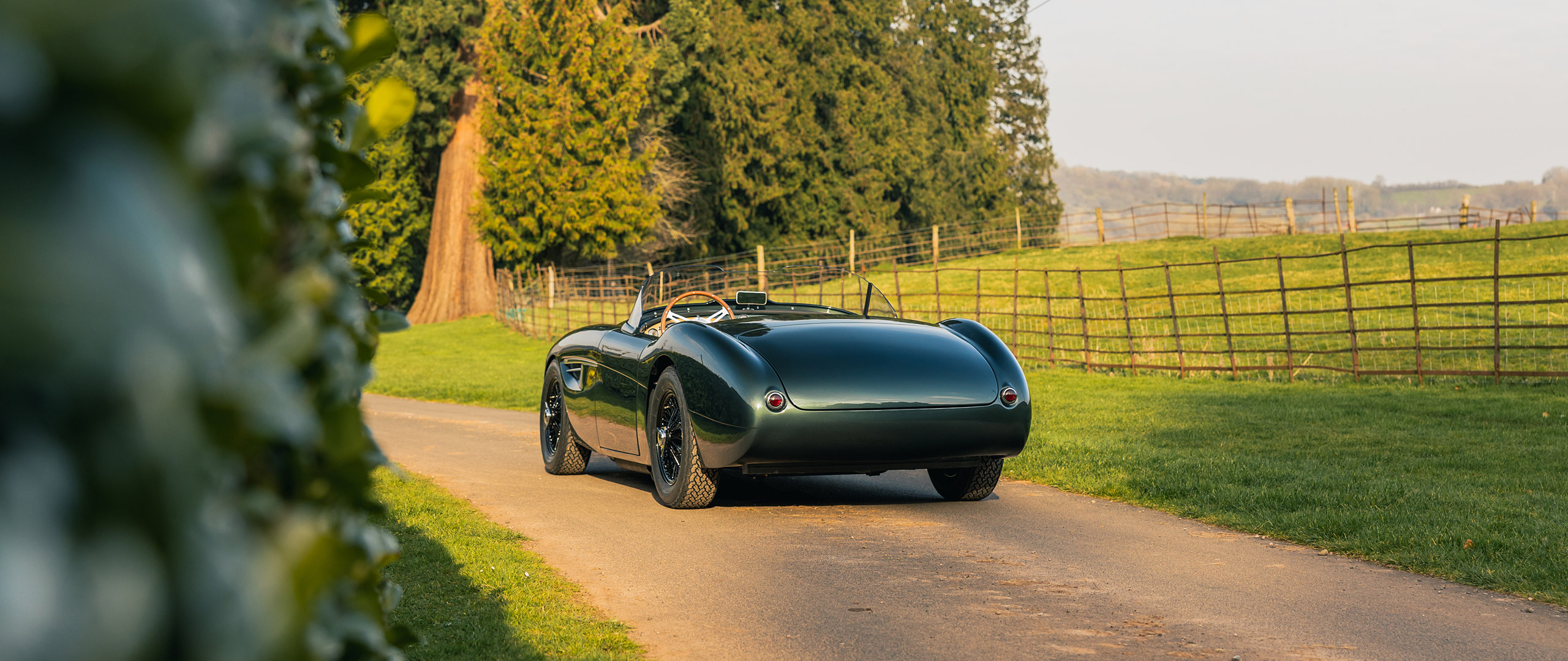 Austin Healey