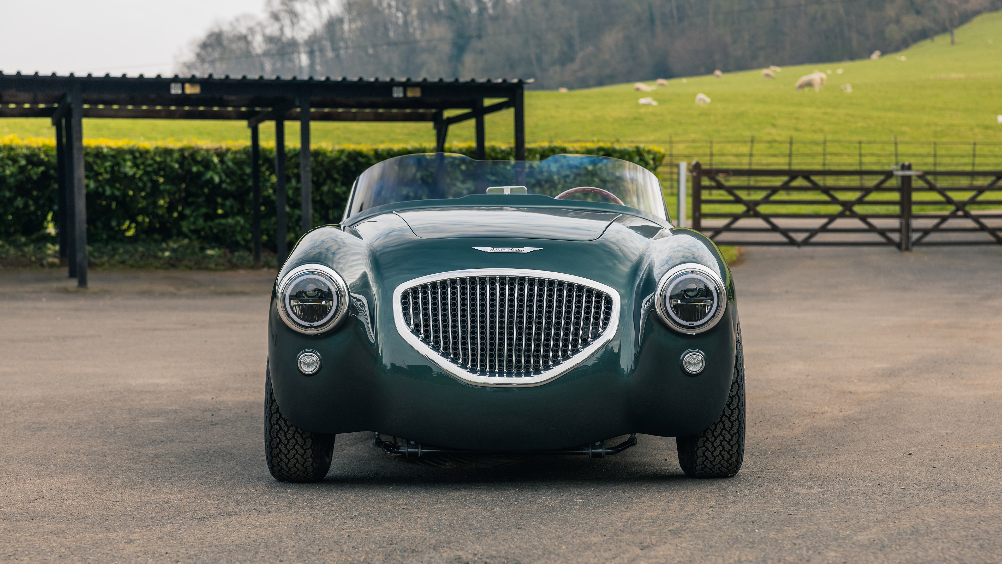 Austin Healey