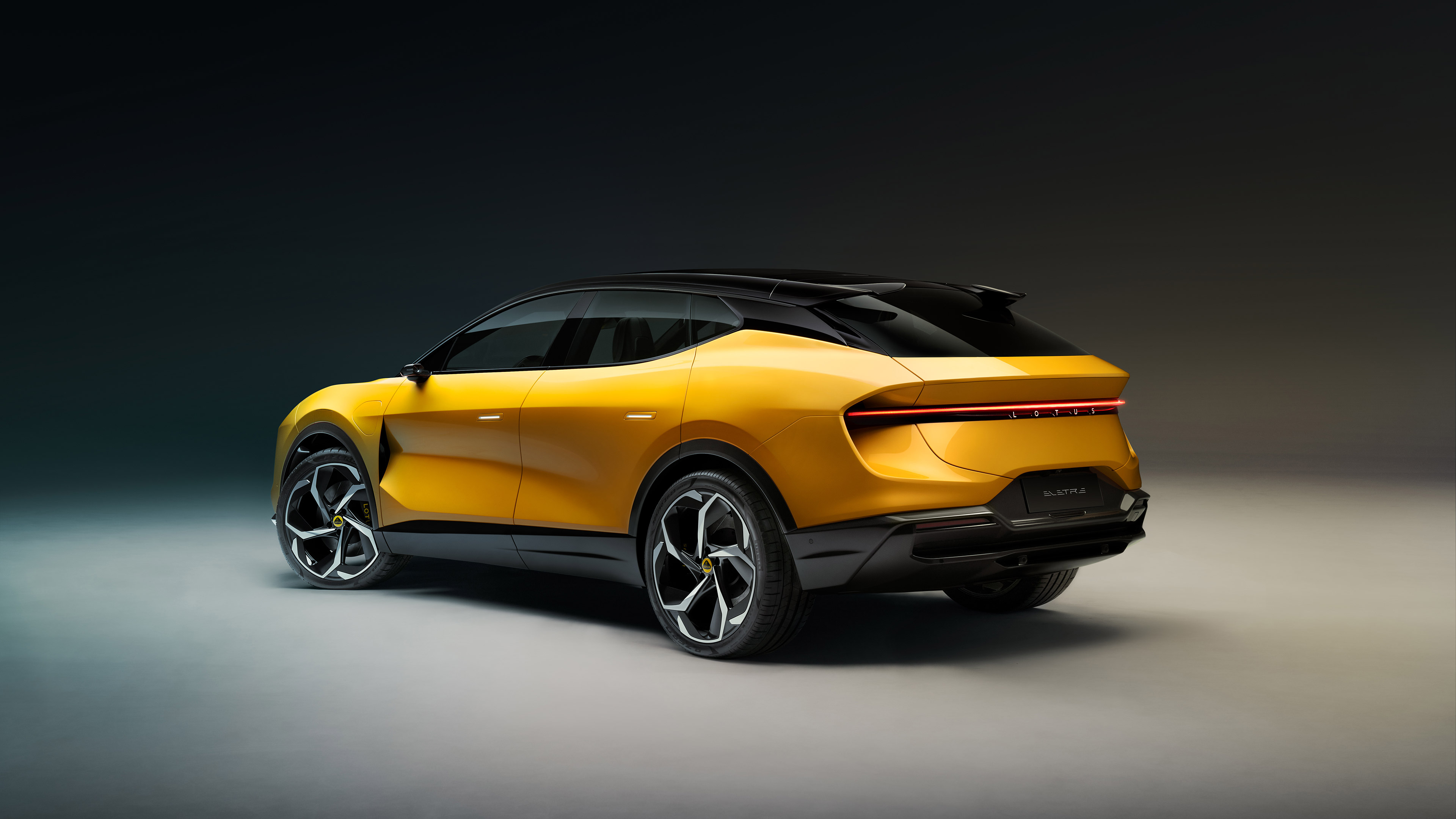 Lotus