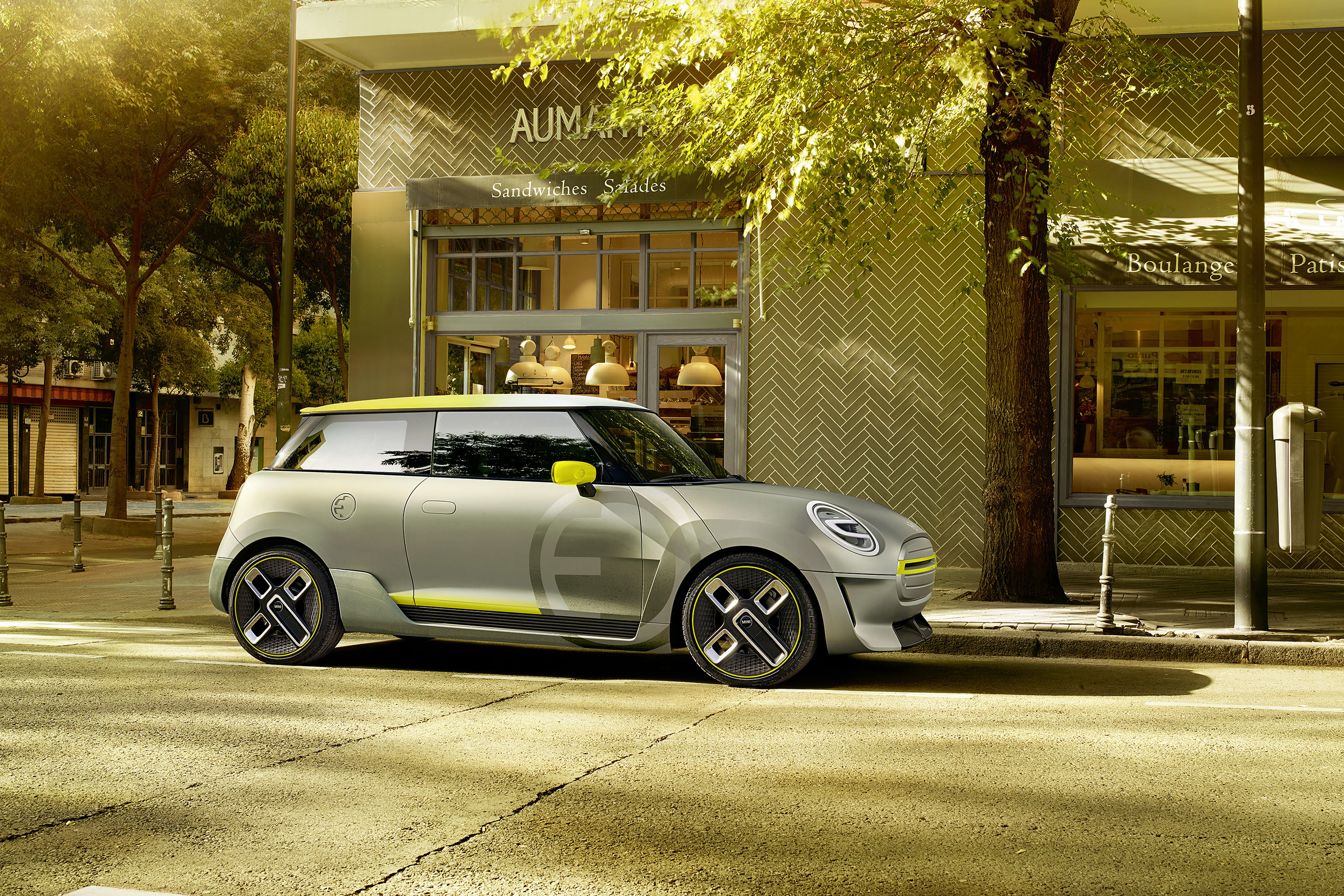 Mini