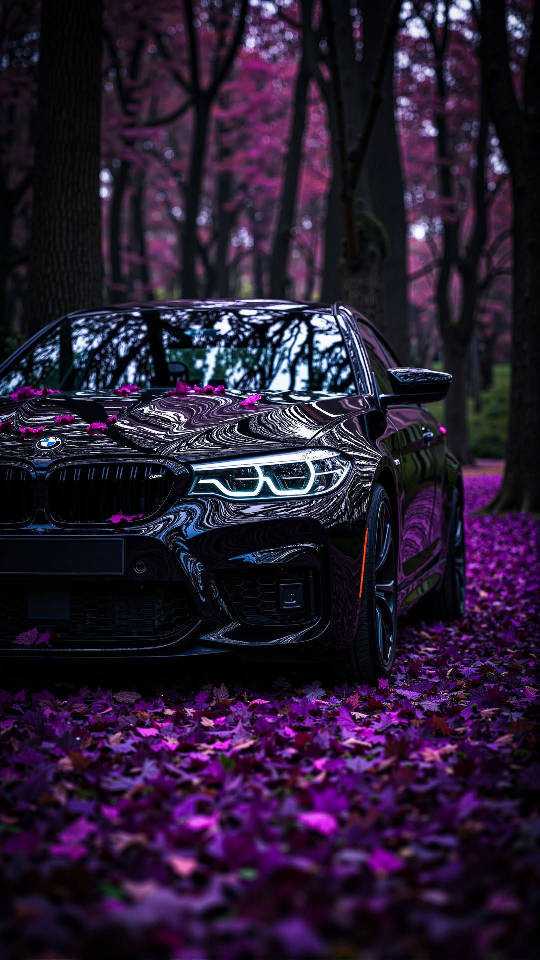a black car parked in front of some trees with purple flowers on it's hood