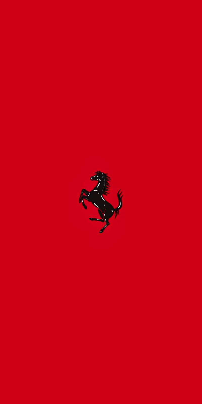a black horse on a red background