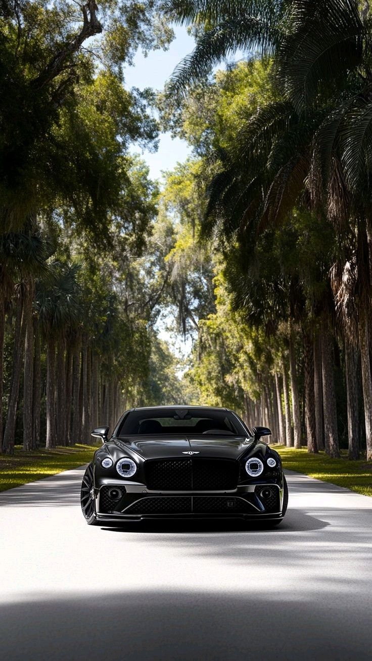 a black sports car is driving down the road in front of some trees and palm trees