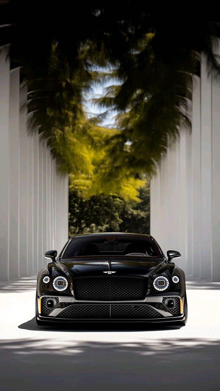 a black sports car parked in front of columns