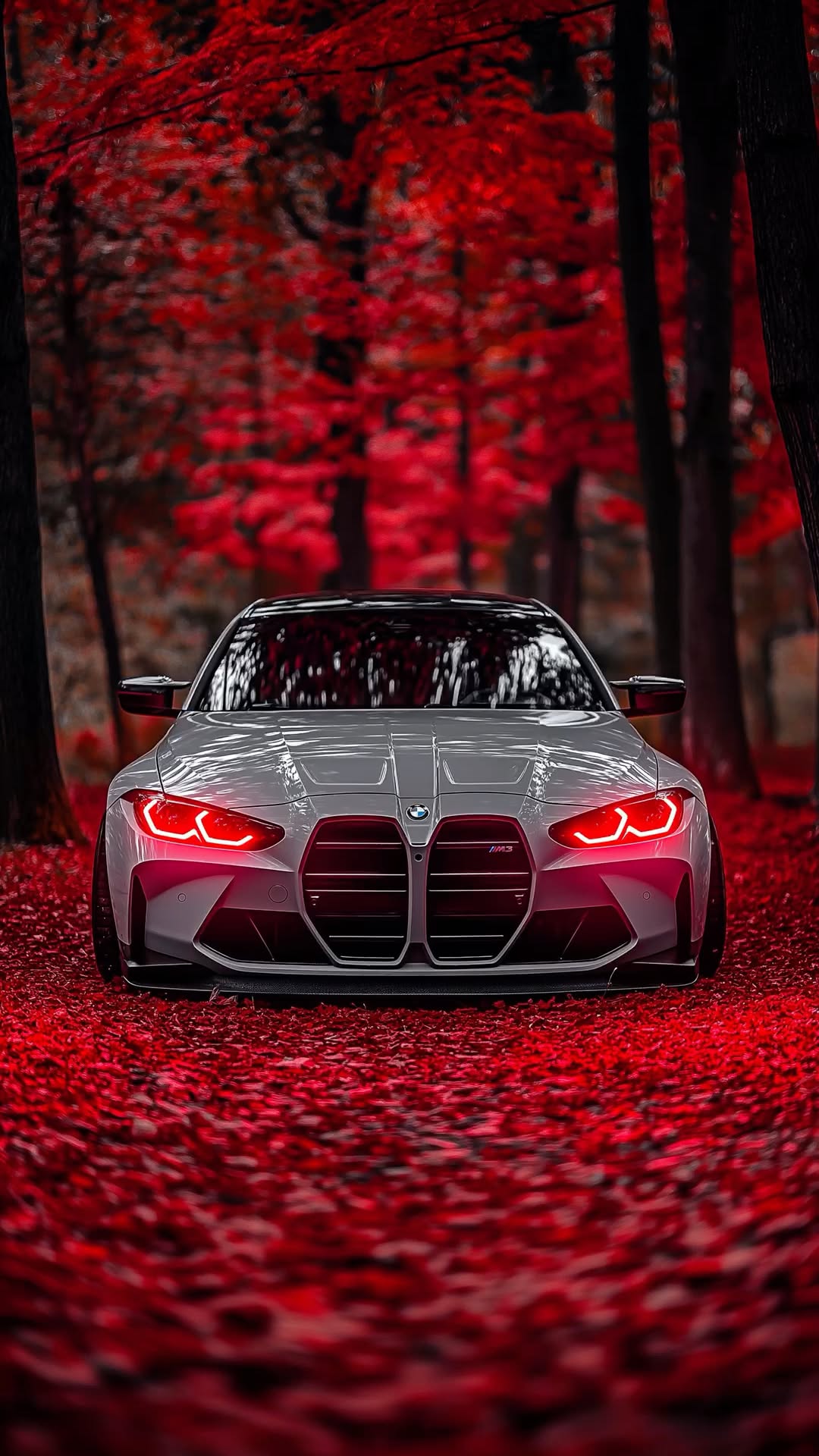 a car parked in the middle of a forest with red leaves