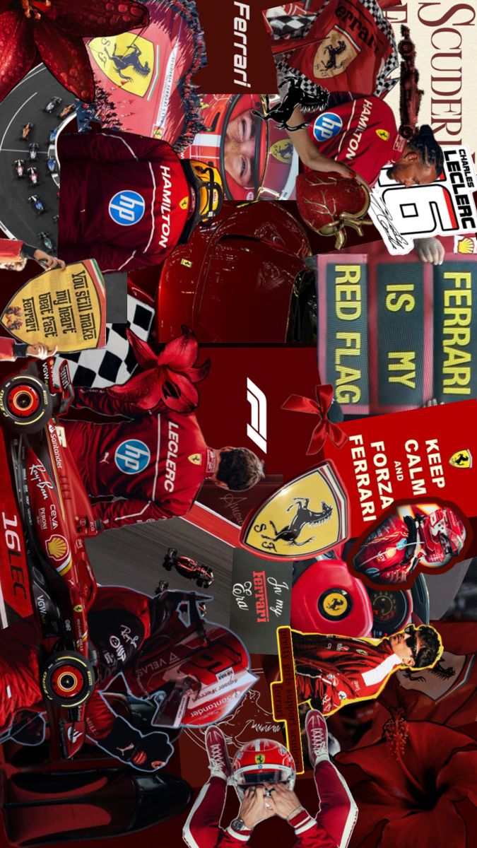 a collage of red and black sports related items, such as hats, gloves, helmets, and books