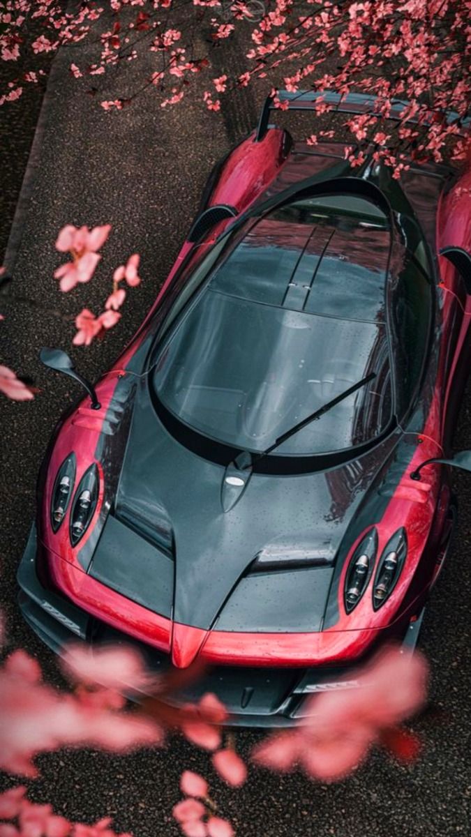 a red and black sports car parked in front of some pink flowers on the ground