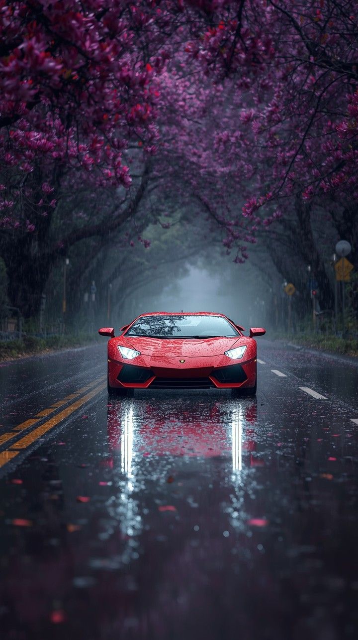 a red sports car driving down a rain soaked road in front of trees with purple flowers