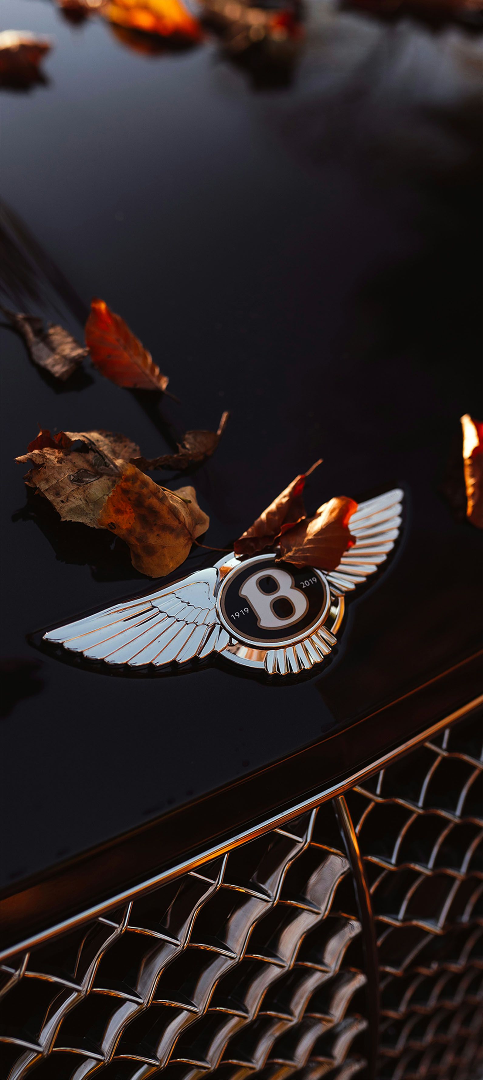 an emblem on the hood of a car with autumn leaves around it and in the foreground