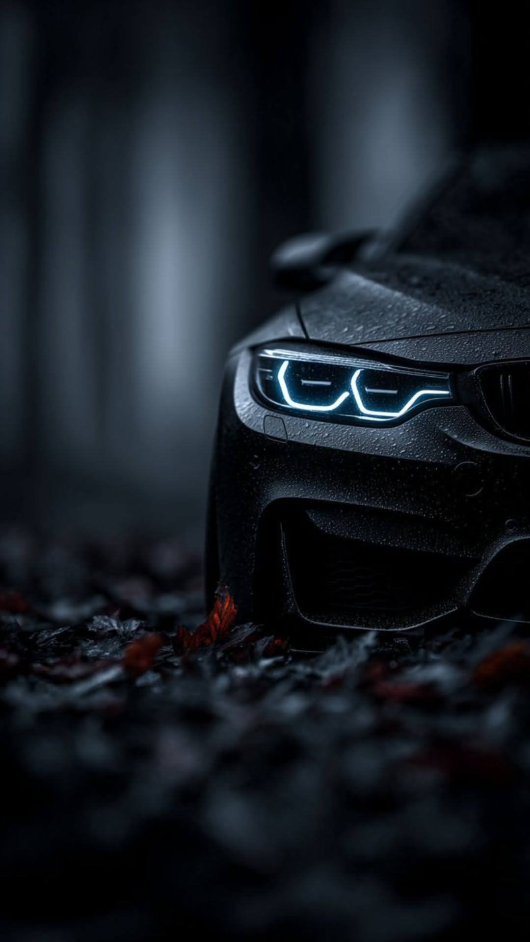 the front lights of a black bmw car are glowing in the dark forest at night